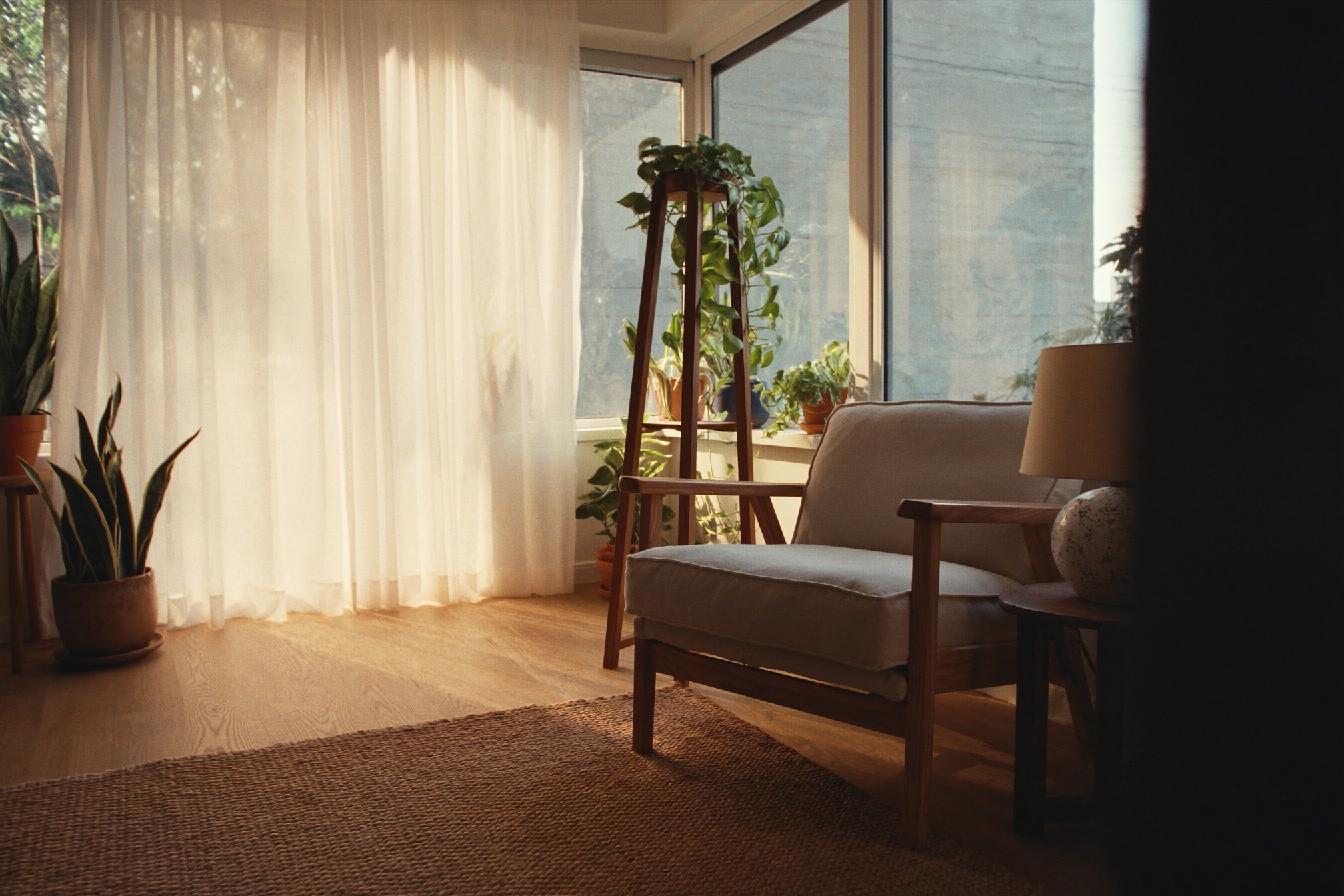 The reading chair by the window
